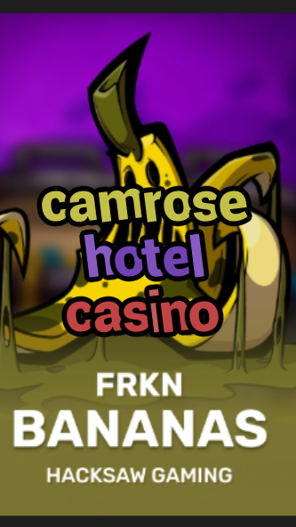 camrose hotel casino-budgetcasinoroyale.3xn3u5udepyz9m9w5iat.com
